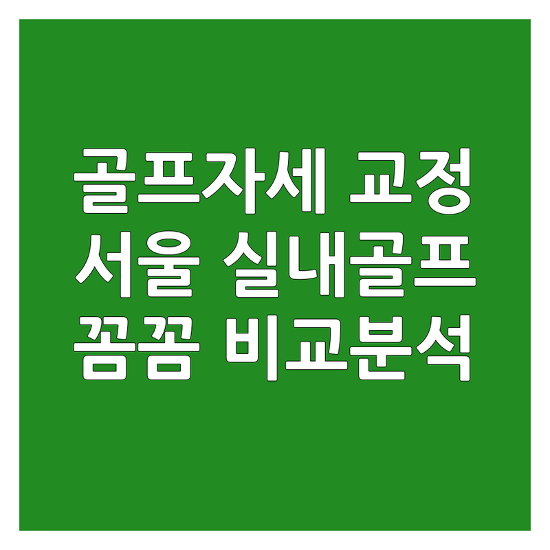서울에서 골프자세 잘하는 실내골프연습장 정보 | 서비스 품질 비교 분석