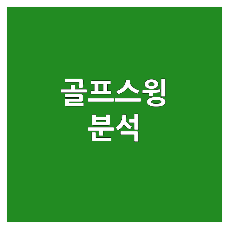 서울 경기 골프스윙분석 저렴한 곳 가격싼 곳 업체 추천 | 스윙교정 피팅 비용 가격 잘하는 곳 | 트랙맨 3D모션센서 바이오메카스윙 | 개인맞춤형 클럽분석 레슨 | 솔직후기 방문예약 무료상담