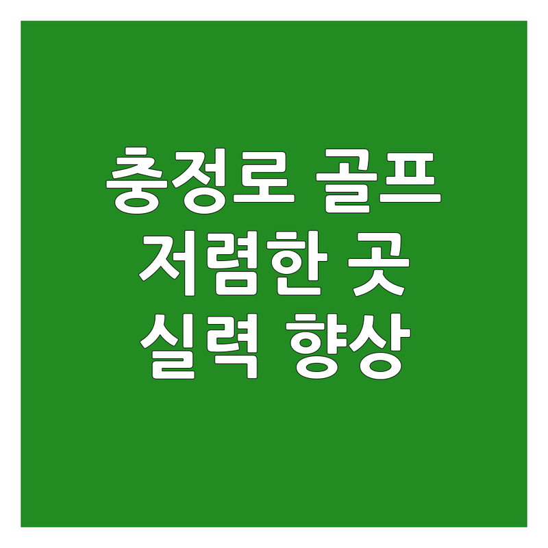 충정로 서울역 스크린골프 연습장 저렴한 곳 가격싼 곳 업체 추천 | 스크린골프 레슨 비용 가격 잘하는 곳 | GDR+아카데미 골프존파크 투비전NX 비전플러스 | 24시간 운영 주차 편한 곳 단체 레슨 초보자 환영 | 골프실력 향상 효율적인 연습 맞춤형 레슨