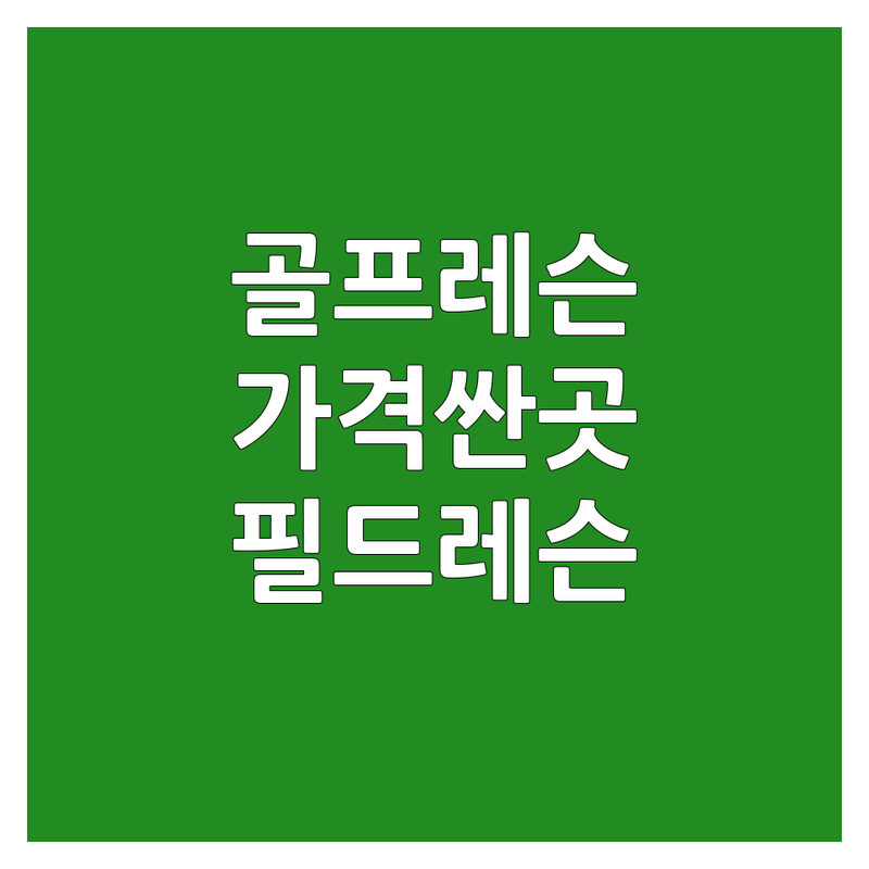 부천 상동 고양 일산 강남 역삼 골프 필드레슨 저렴한 곳 가격싼 곳 업체 추천 | 골프레슨 비용 가격 잘하는 곳 | 초보 골프 입문 1:1 맞춤 레슨 | 실내골프연습장 스크린골프 필드 적응 | 솔직한 후기 시행착오