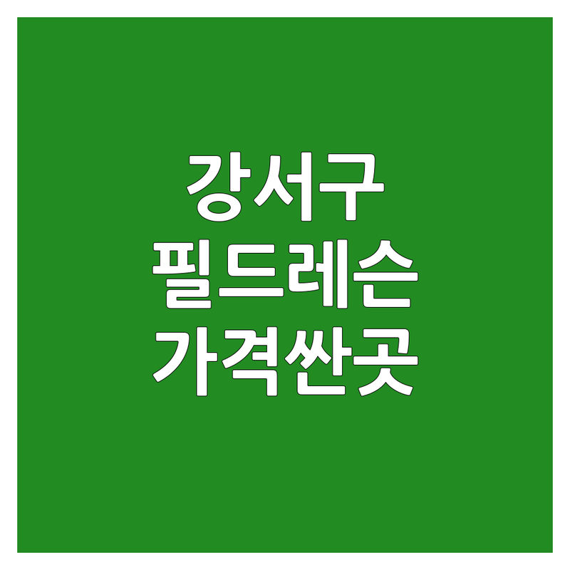 서울 강서구 필드레슨 저렴한 곳 가격싼 곳 업체 추천 | 골프레슨 비용 가격 잘하는 곳 | 개인레슨 속성레슨 스크린골프 | 골프연습장 초보골프 | 입문골프 상담