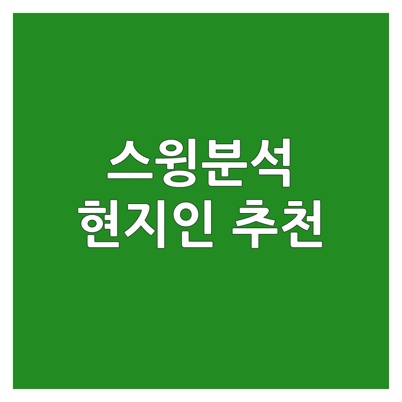수도권 골프스윙분석 정보 모음 | 현지인이 추천하는 BEST 선택