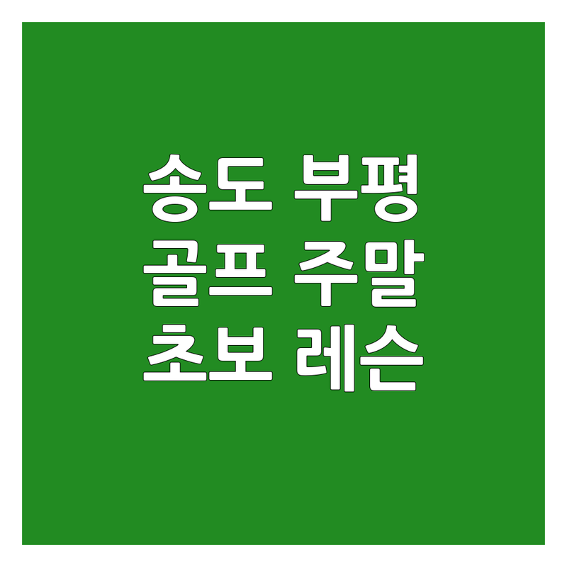 인천 송도 부평 골프주말레슨 저렴한 곳 추천 | 실내골프연습장 가격 비용 잘하는 곳 | 초보 개인레슨 후기 | 트랙맨 QED 주차가능