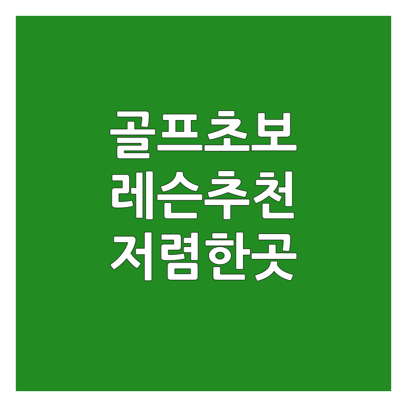 서울 골프초보 레슨 잘하는 곳 추천 | 골프입문 비용 가격 저렴한 곳 | 실내골프연습장 스크린골프 | 왕십리 반포 종암 상도 골프레슨 | 여성프로 레슨 체계적인 스윙 분석 주차 가능
