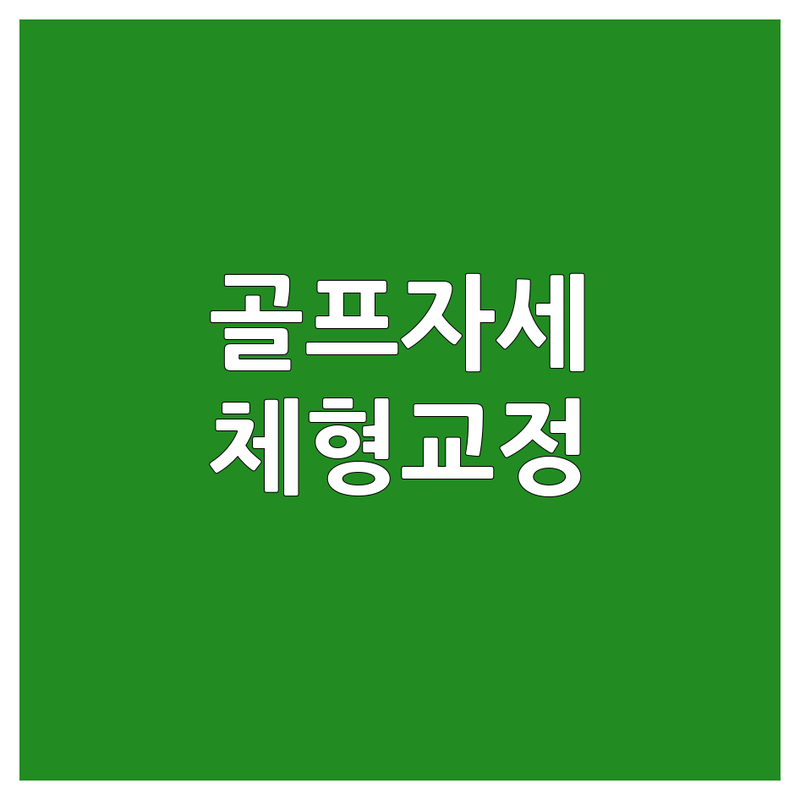 대치동 골프자세 교정 저렴한 곳 업체 추천 | 골프레슨 비용 가격 잘하는 곳 | 체형교정 스윙자세교정 | 초보골프레슨 원포인트레슨 | 실내골프연습장 주차가능