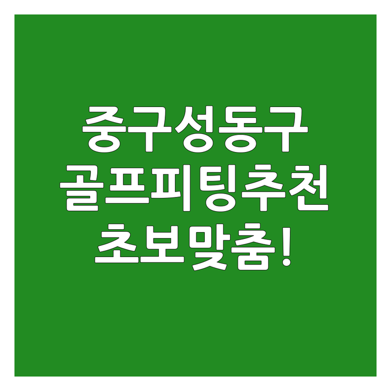 서울 중구/성동구 골프피팅 저렴한 곳/가격싼 곳 업체 추천 | 골프채 피팅 비용/가격 잘하는 곳 | 드라이버 아이언 웨지 피팅 | 샤프트 그립 교체 스윙 분석 | 초보 골퍼 맞춤 피팅