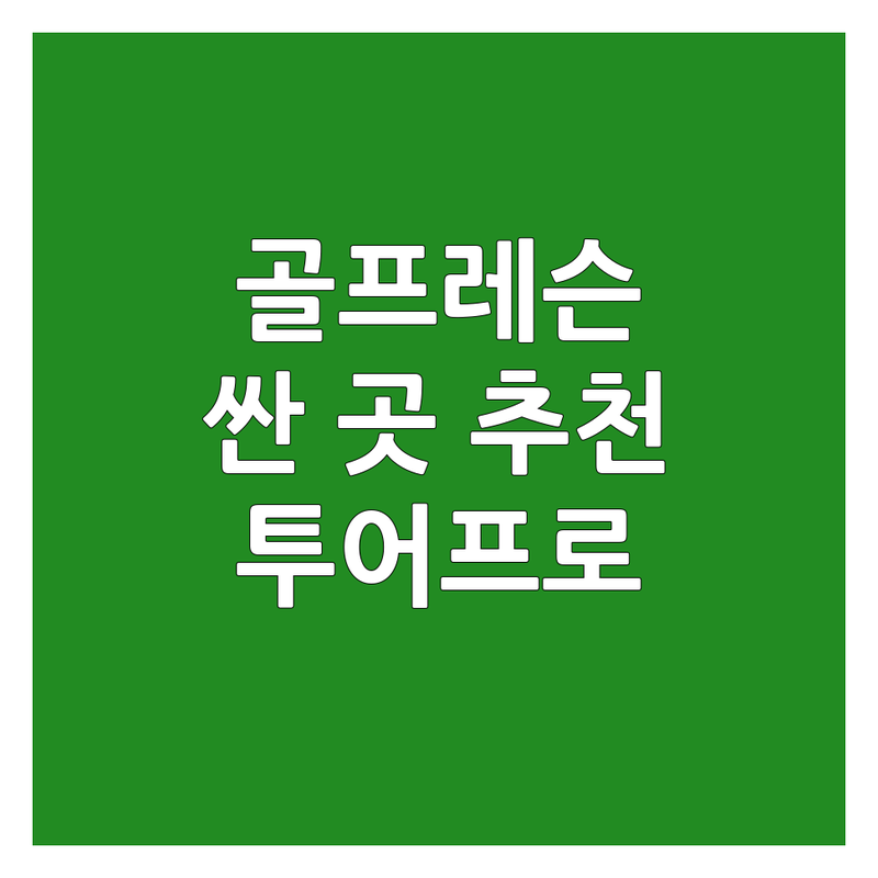 서울 골프레슨프로 저렴한 곳 가격싼 곳 업체 추천 | 골프레슨 비용 가격 잘하는 곳 | 실내골프연습장 트랙맨레슨 1대1레슨 | 골프피티 투어프로레슨 | 주차가능 무료상담 후기