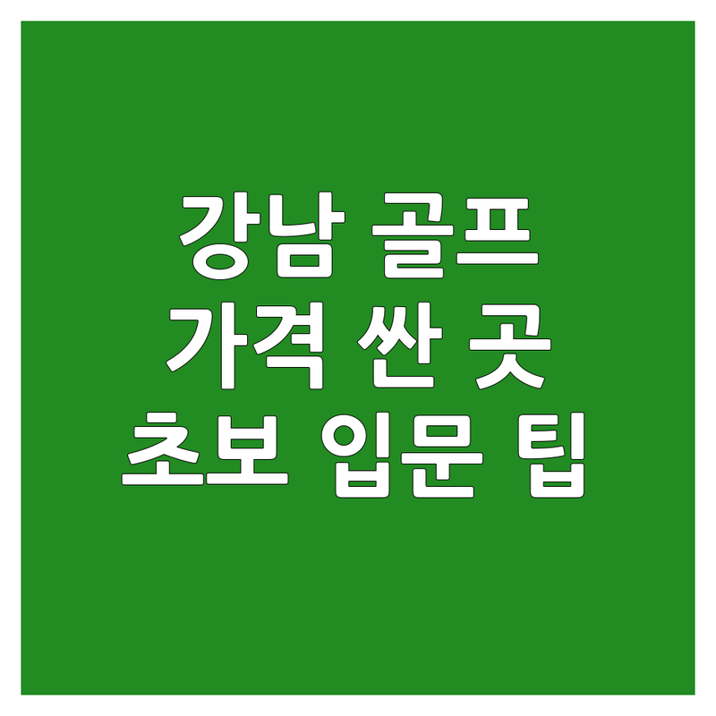 서울 강남 골프어드레스 저렴한 곳 가격싼 곳 업체 추천 | 골프자세 교정 비용 가격 잘하는 곳 | 골프웨어 렌탈 골프용품 피팅 수리 | 중고골프채 골프레슨 | 초보 골퍼 입문 팁