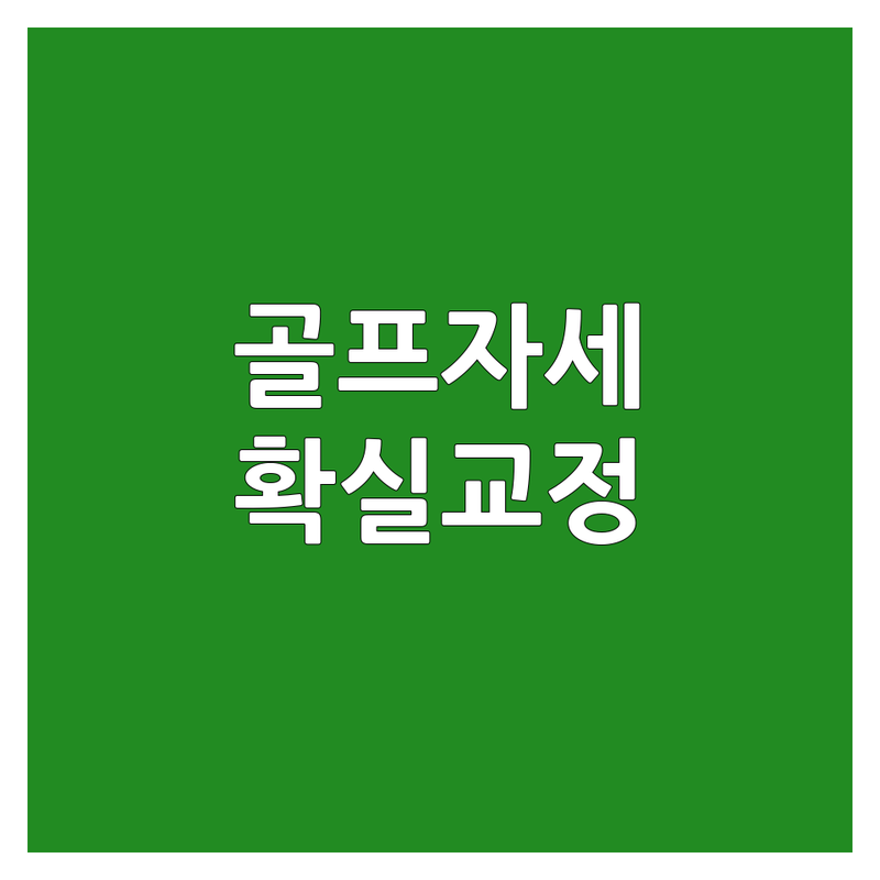 남양주 일산 영등포 골프자세 교정 저렴한 곳 추천 | 실내골프연습장 비용 | KPGA투어프로레슨 스윙교정 골프엘보 | 개인맞춤레슨 주차가능 무료상담