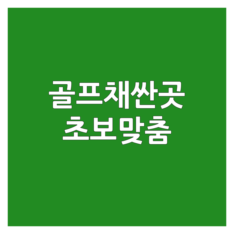 서울 골프드라이버 저렴한 곳 가격싼 곳 업체 추천 | 골프채 피팅 비용 가격 잘하는 곳 | 스윙분석 샤프트교체 그립교체 | 주차 편한 곳 A/S 좋은 곳 | 초보 골린이 맞춤
