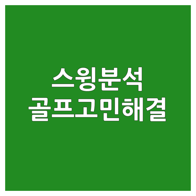 서울/수도권 골프스윙분석 골프레슨 가성비 좋은 곳 업체 추천 | 스윙교정 비거리향상 레슨 비용 가격 잘하는 곳 | 1:1 개인레슨 맞춤피팅 바이오메카닉 분석 | 초보골퍼 골린이 비기너 골프고민 해결