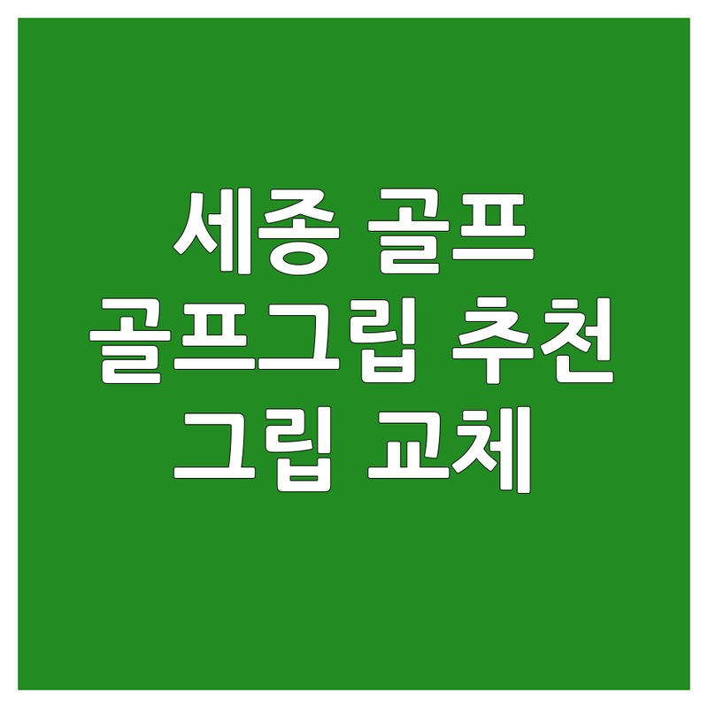 세종 골프그립 저렴한 곳 가격싼 곳 업체 추천 | 골프그립 비용 가격 잘하는 곳 | 그립교체 골프채수리 | 로스트볼 파크골프채 | 주차가능 24시간