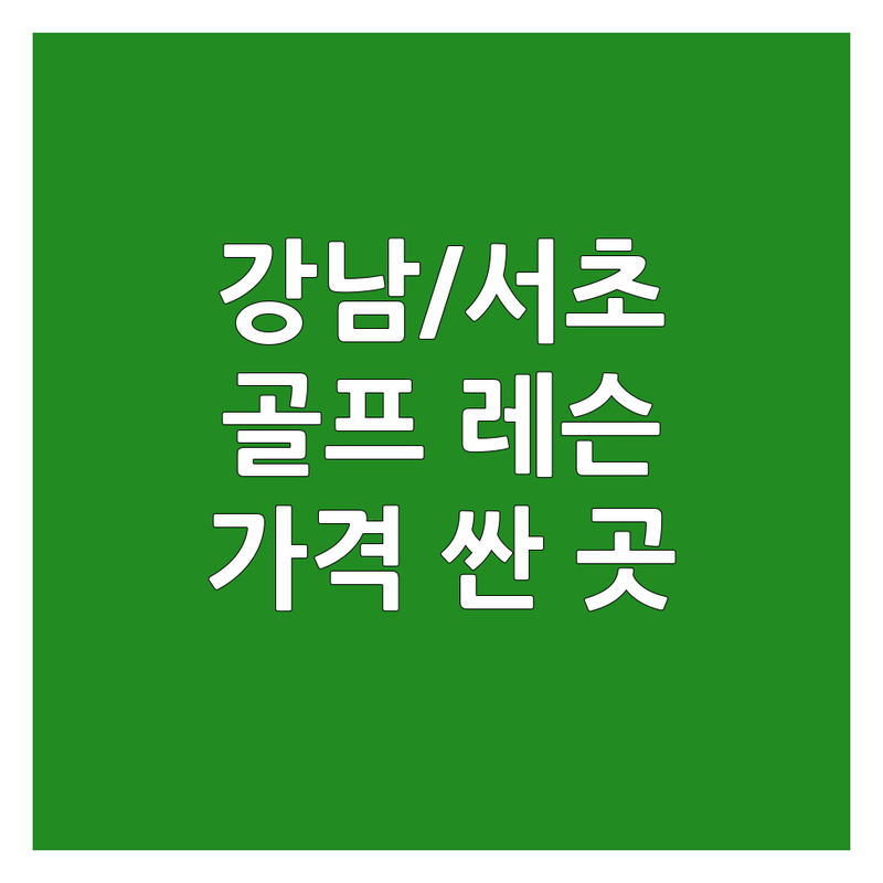 강남/서초 골프강습 저렴한 곳 가격싼 곳 업체 추천 | 골프레슨 비용 가격 잘하는 곳 | 주니어골프 키즈골프 성인골프 필드레슨 | 스윙분석 실내골프 개인레슨 그룹레슨 | 초보골프연습장 주차편한곳 예약가능