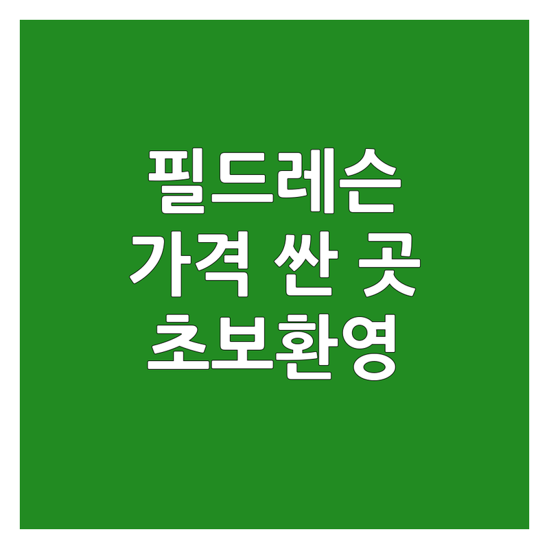 영등포 신도림역 고양시 일산 필드레슨 저렴한 곳 가격싼 곳 업체 추천 | 골프레슨 비용 가격 잘하는 곳 | 초보 필드레슨 입문 스크린골프 | 골프 연습장 실내 레슨 | 필드레슨 후기